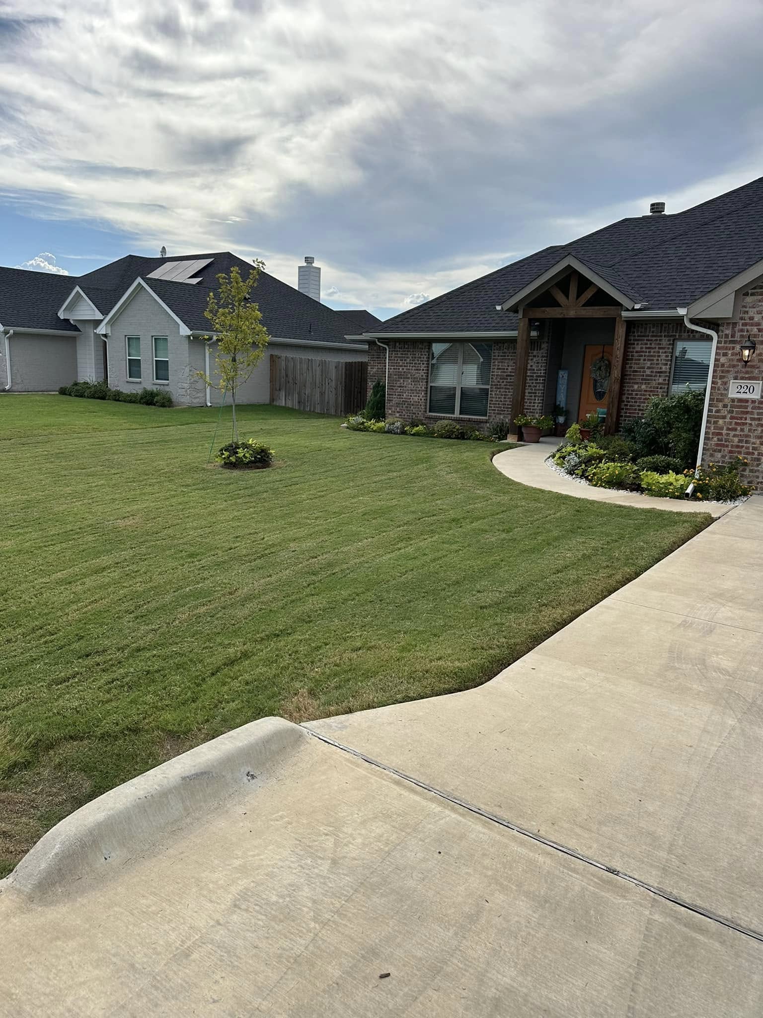 Weed-Free Lawns, A Dream Come True
